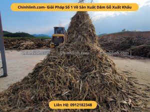 Vỏ cây gỗ keo