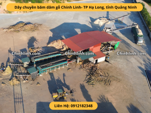 Nhà xưởng dăm gỗ