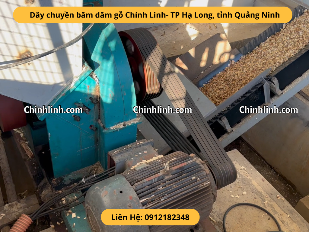 Dăm gỗ xuất khẩu