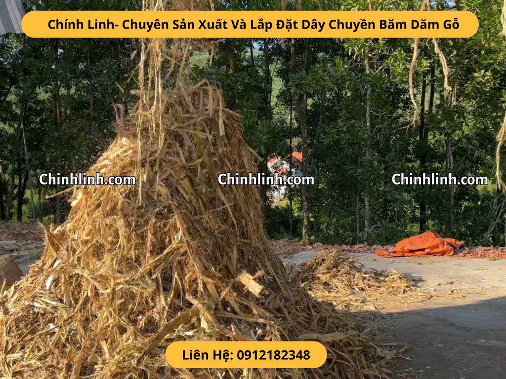 Vỏ cây gỗ